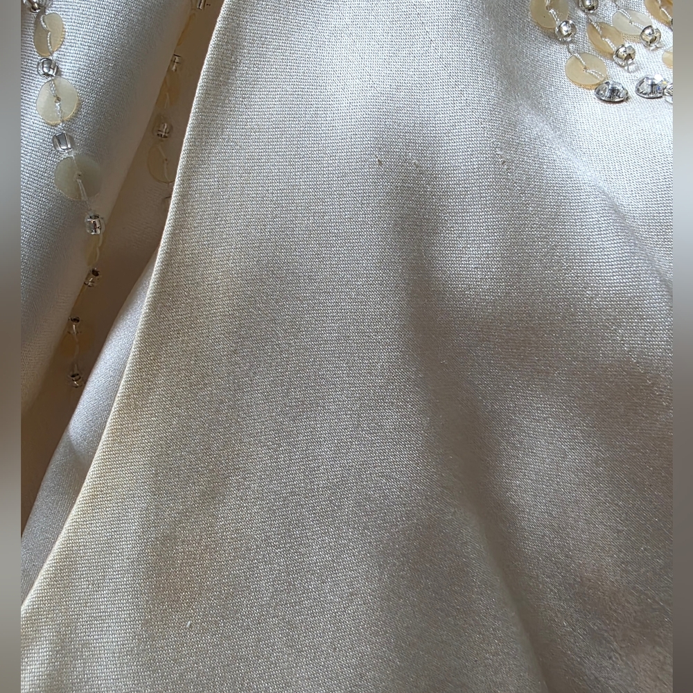 Jenny Packham Wedding Dress - Picture 16 of 16